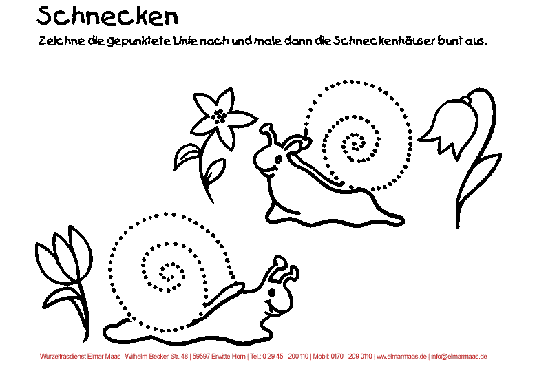 schnecken